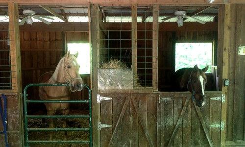 Horse Friendly Cabin in Hocking Hills